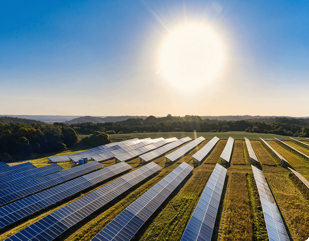 Wide solar farm showing long rows of ground-mounted PV panels in a grassy rural site with sun and distant trees