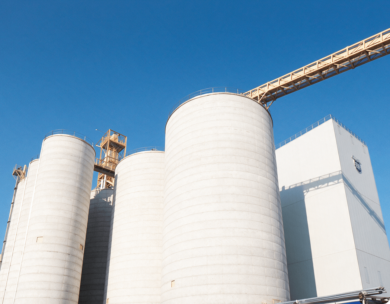 Large white concrete grain silos and a connected processing building under a clear blue sky at an industrial milling facility