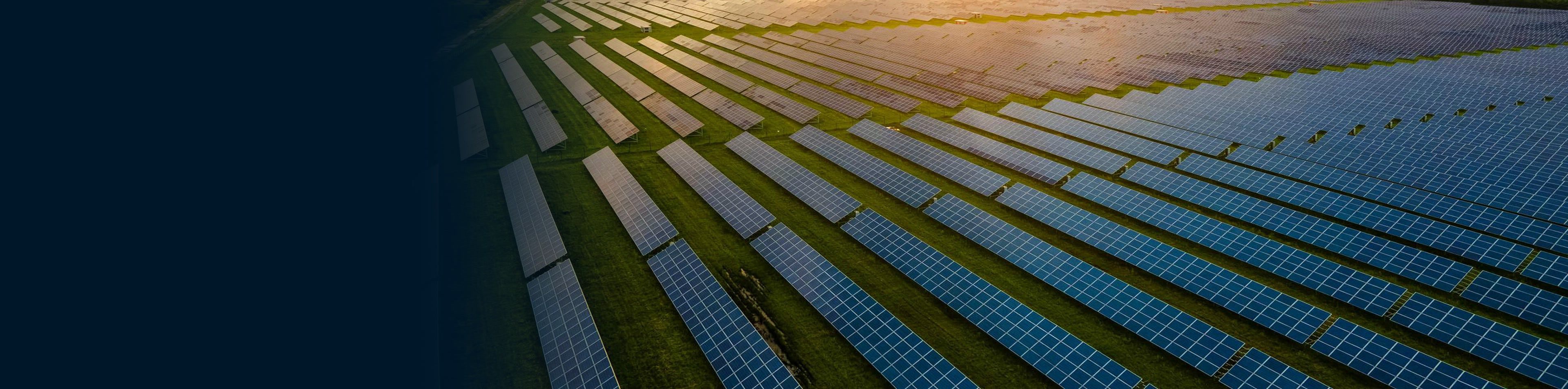 Aerial view of a large ground-mounted solar farm with rows of blue photovoltaic panels on green grass at sunrise